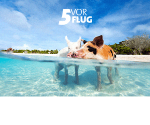 5vorFlug Alternative zu Opodo Prime
