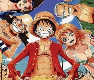 Für wen lohnt sich One Piece